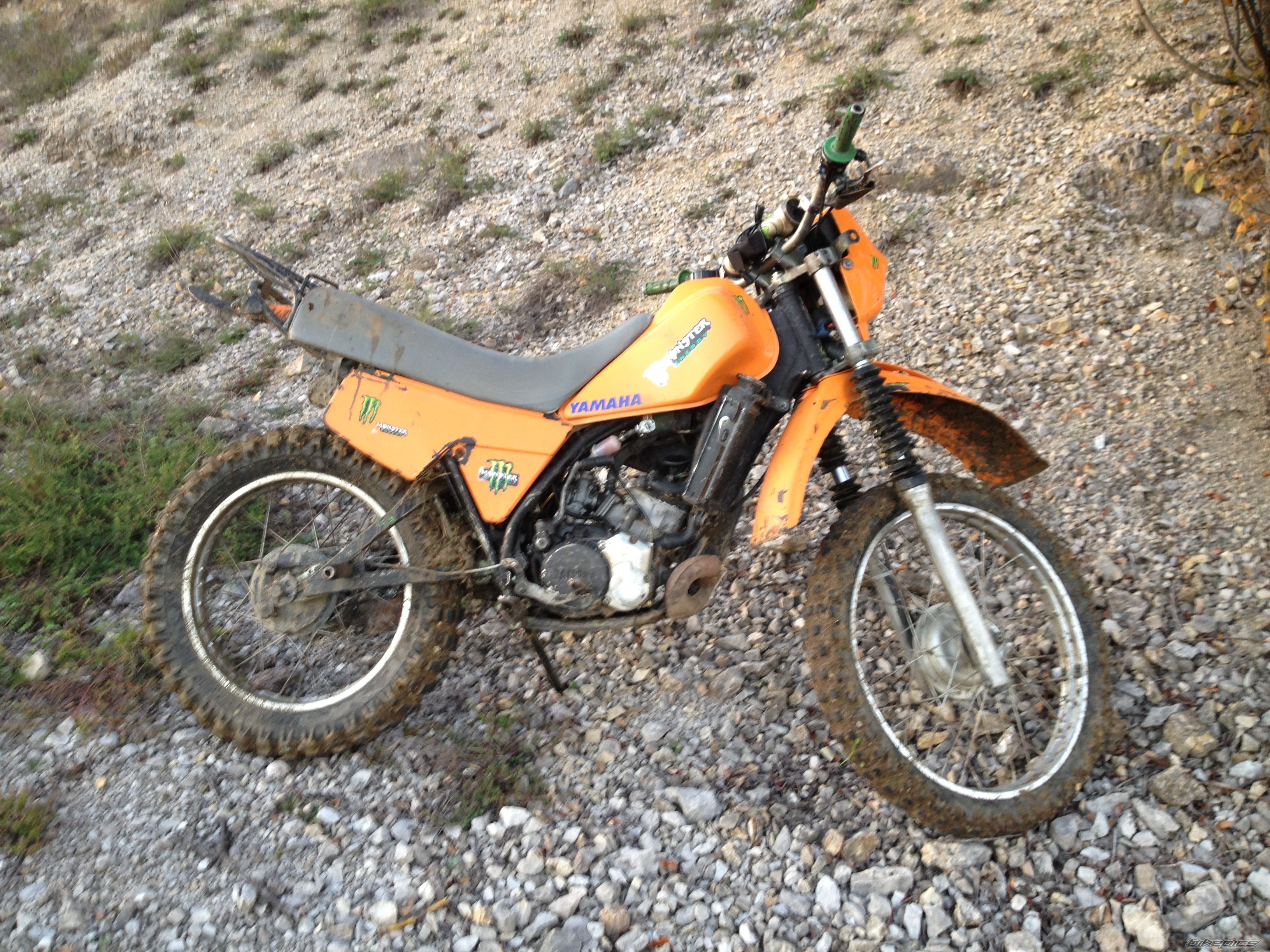 Photo 2617469