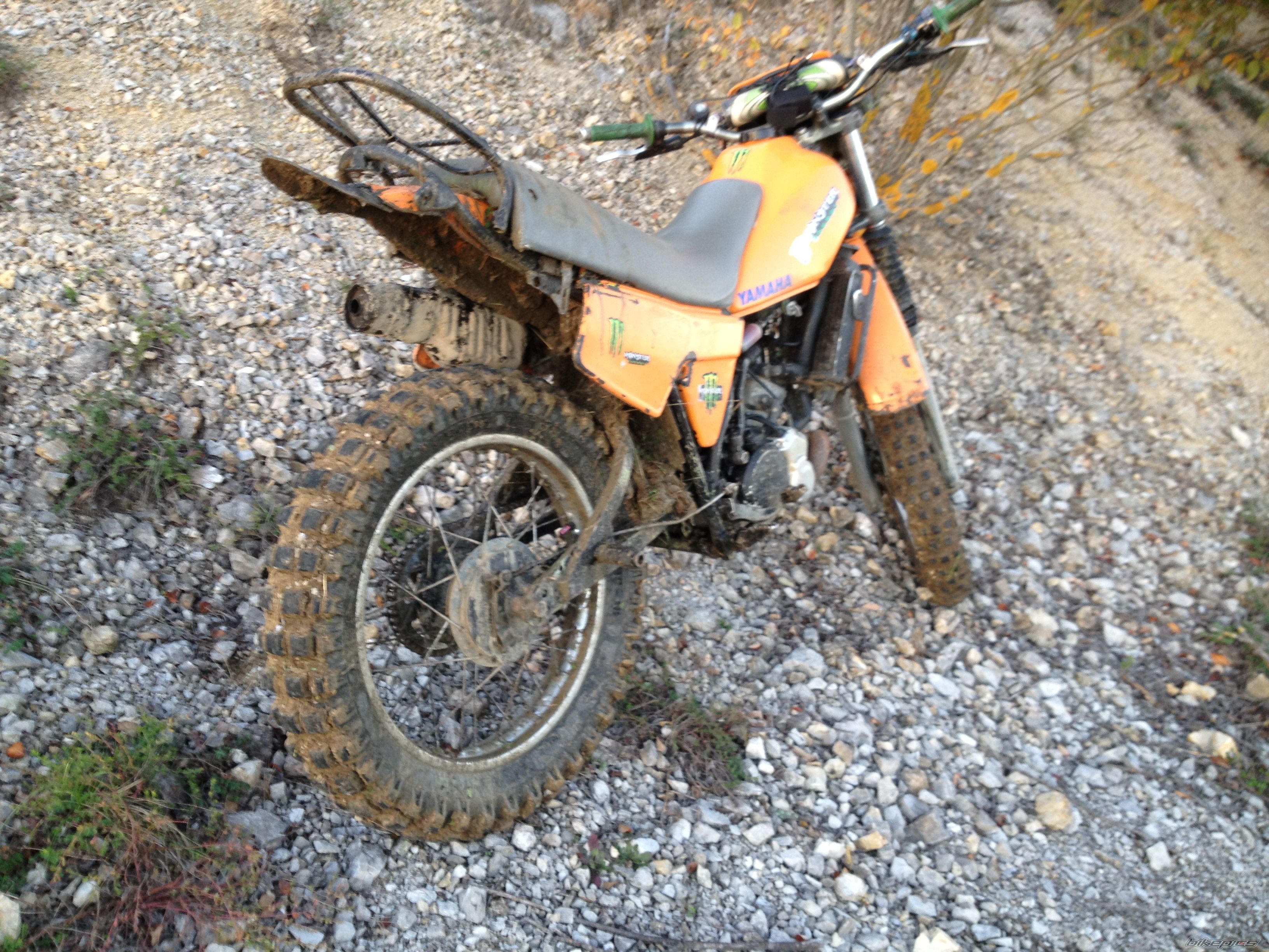Photo 2617470