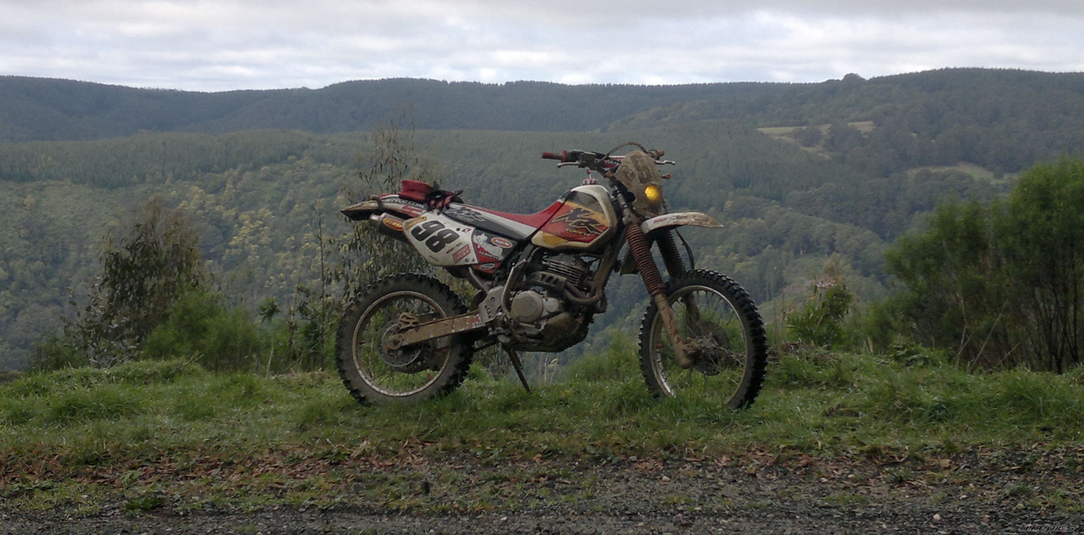 Photo 2617475