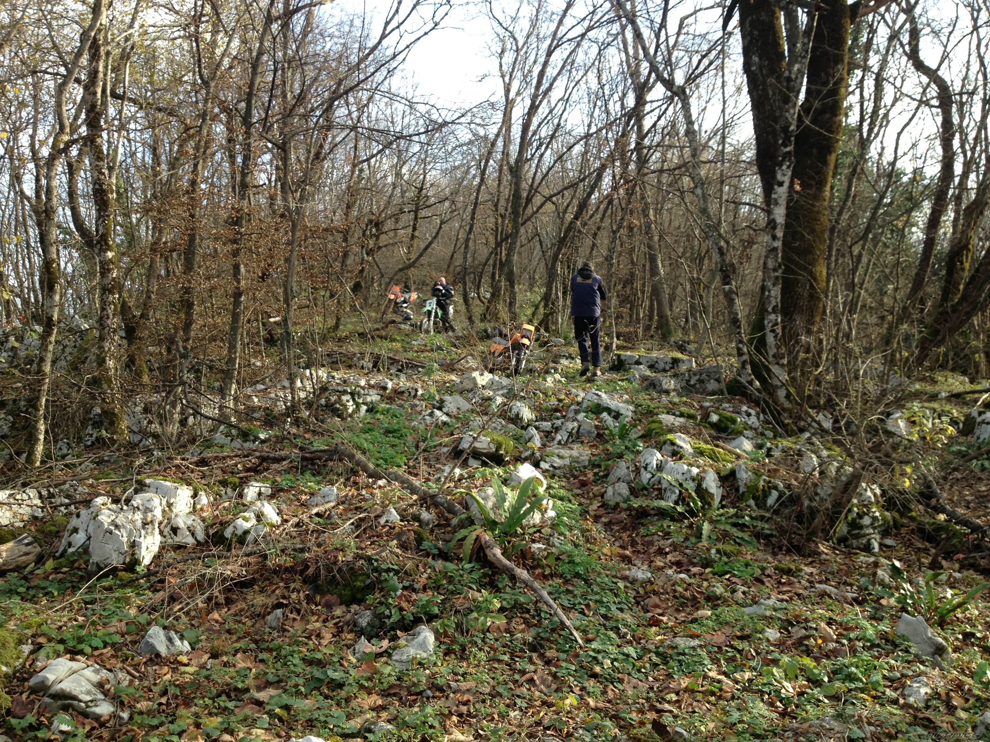 Photo 2617486