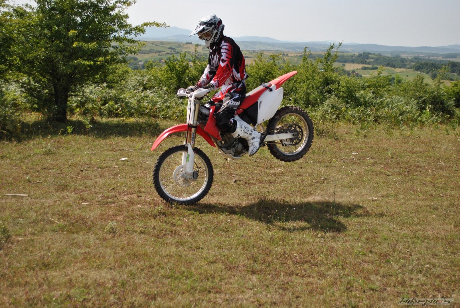 Photo 2617487