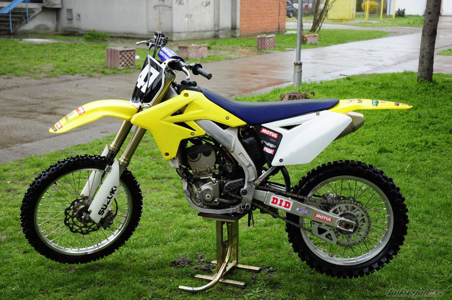 Photo 2617553