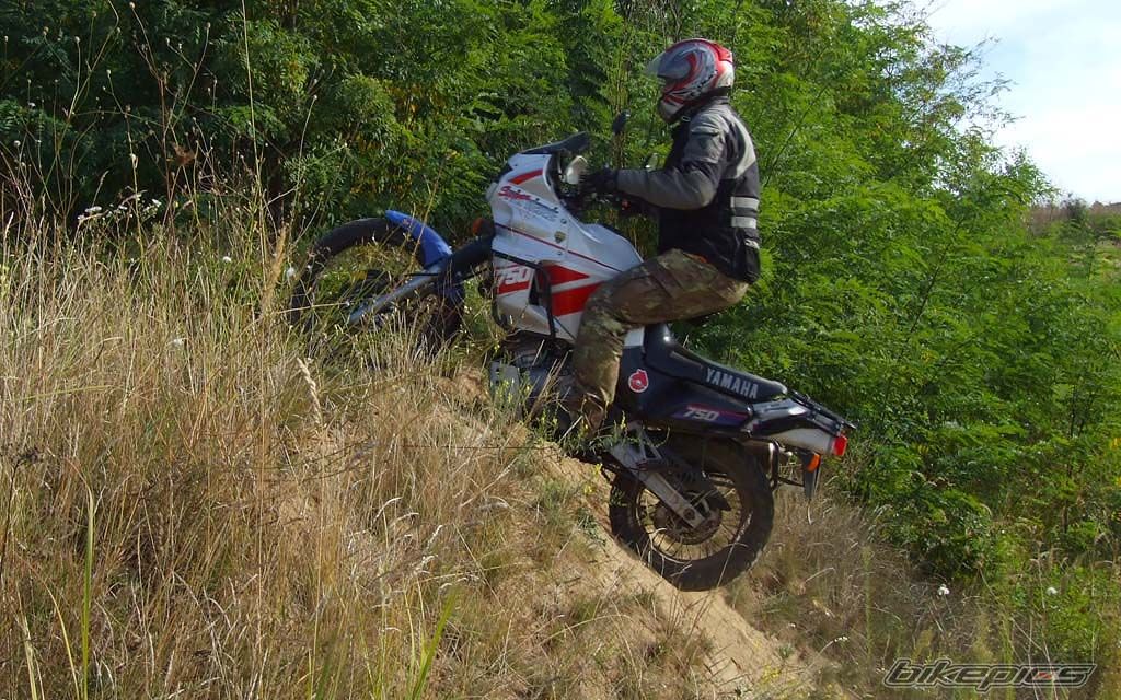Photo 2617712