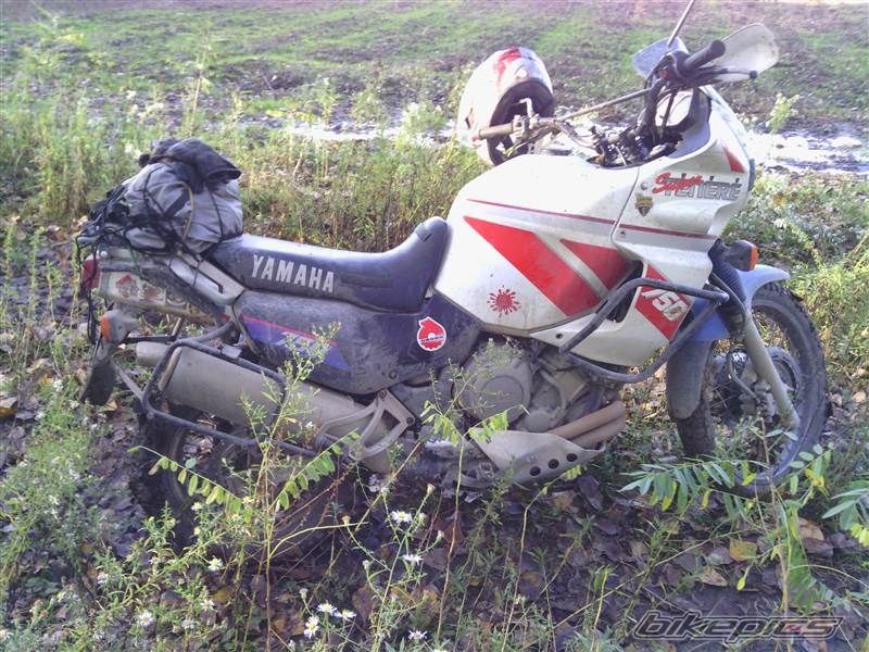 Photo 2617720