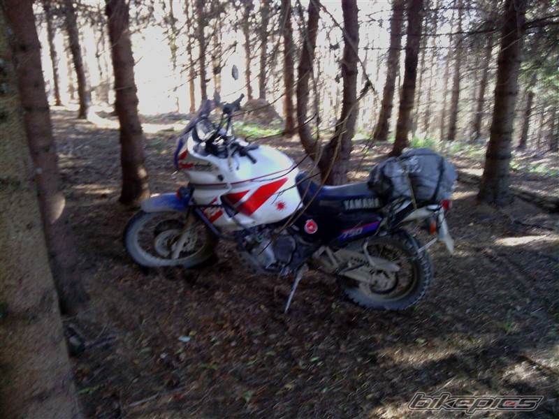 Photo 2617721