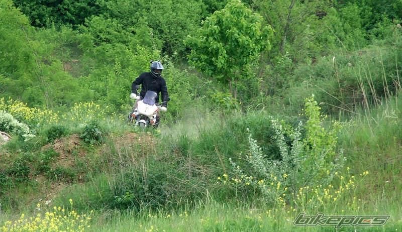 Photo 2617733