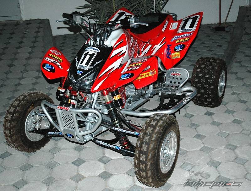 Photo 261776