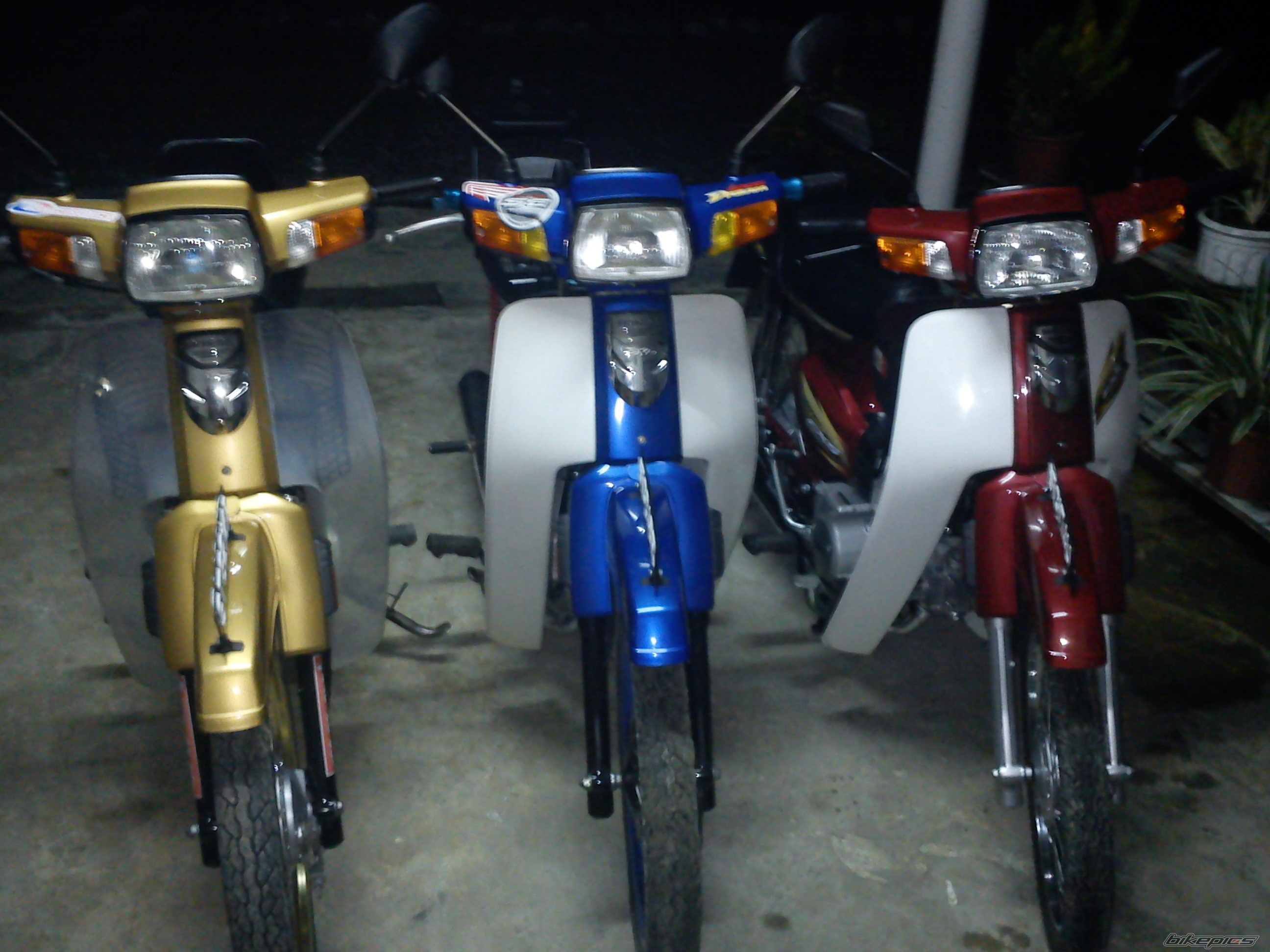 Photo 2617795