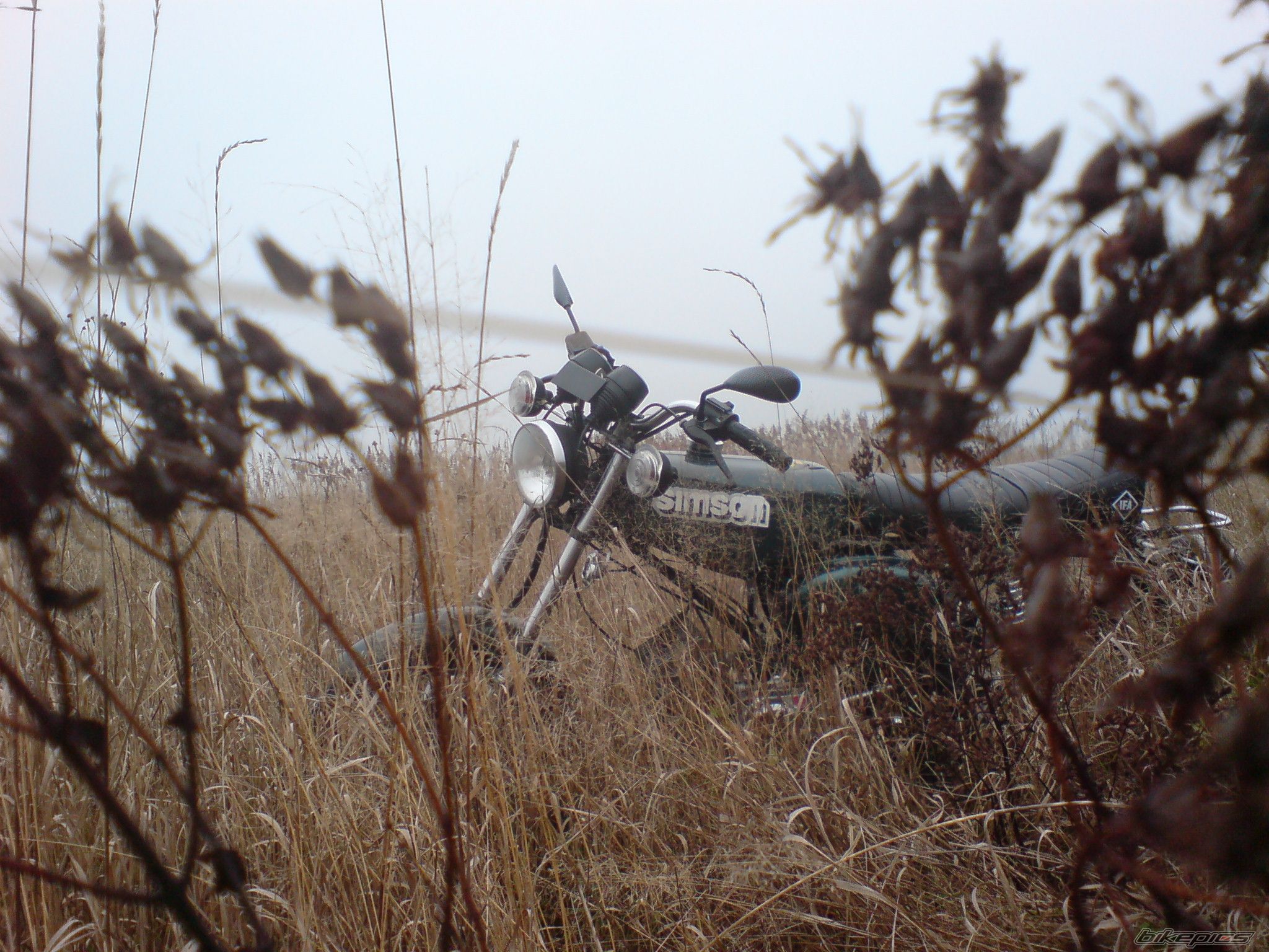 Photo 2617817