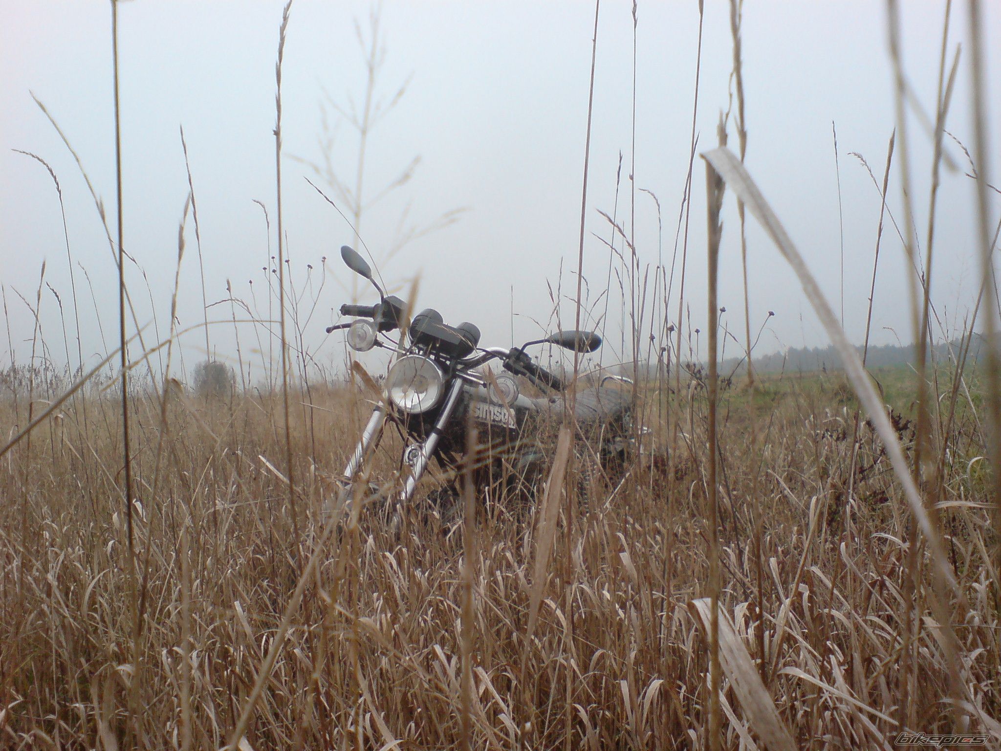 Photo 2617818