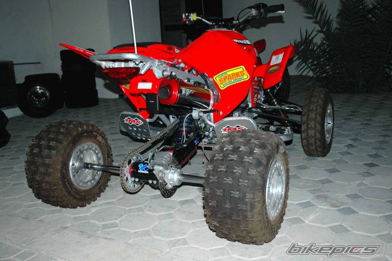 Photo 261782