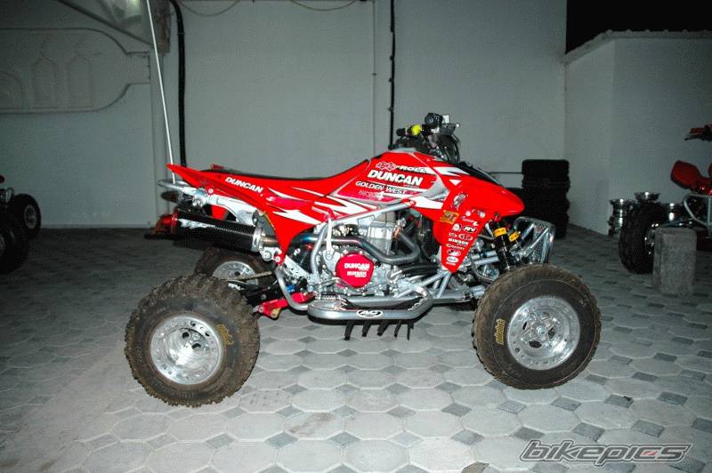 Photo 261786