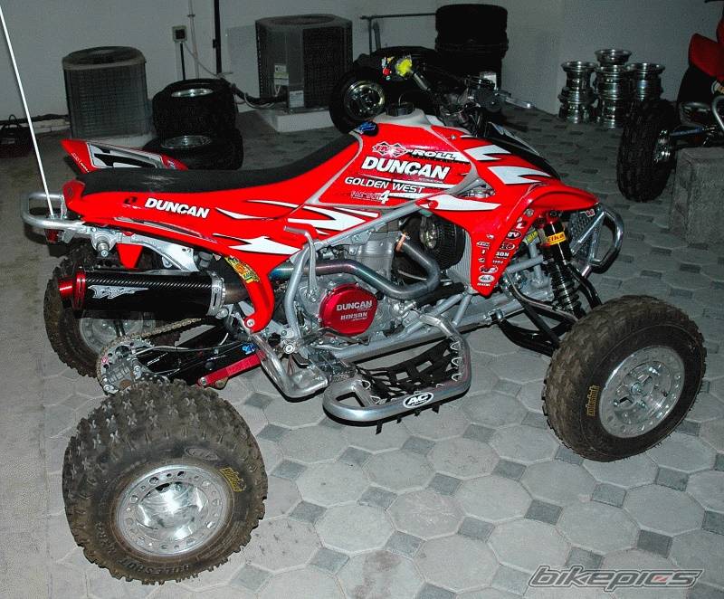 Photo 261787