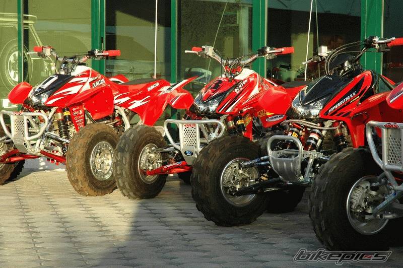 Photo 261789
