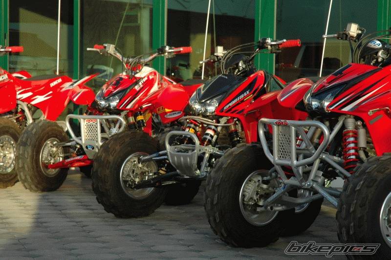 Photo 261790