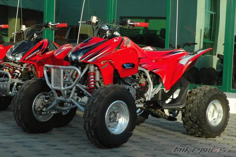 Photo 261792