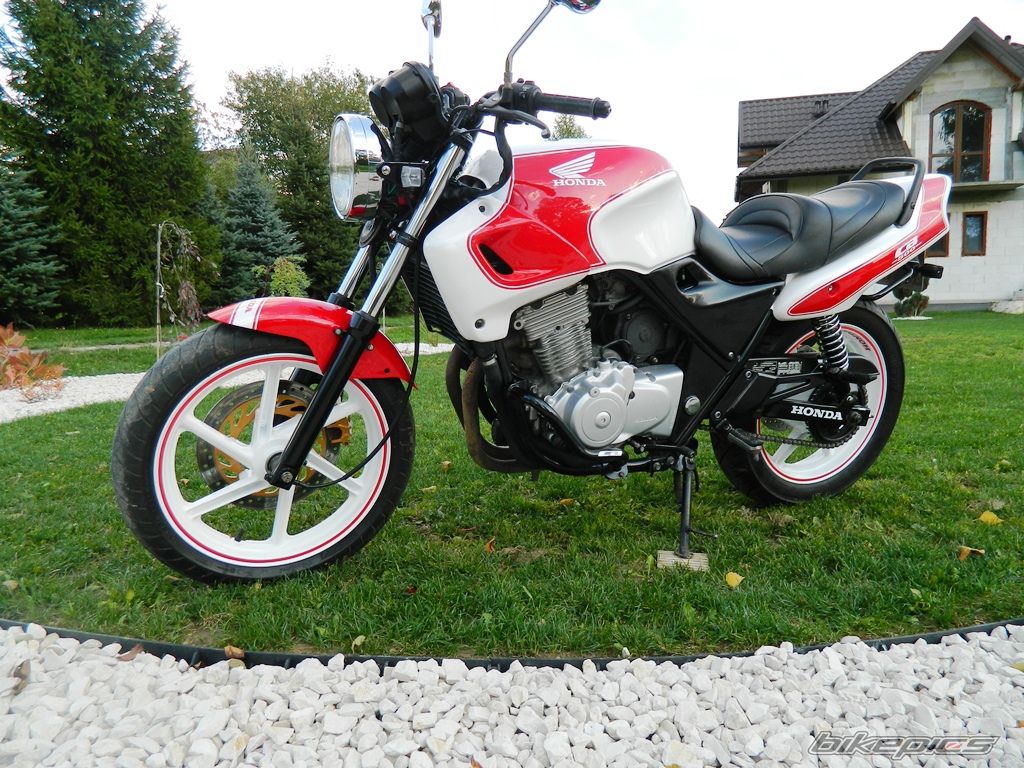 Photo 2617927