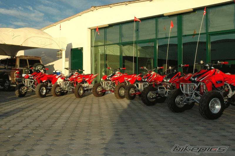 Photo 261793