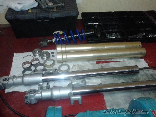 Photo 2617941