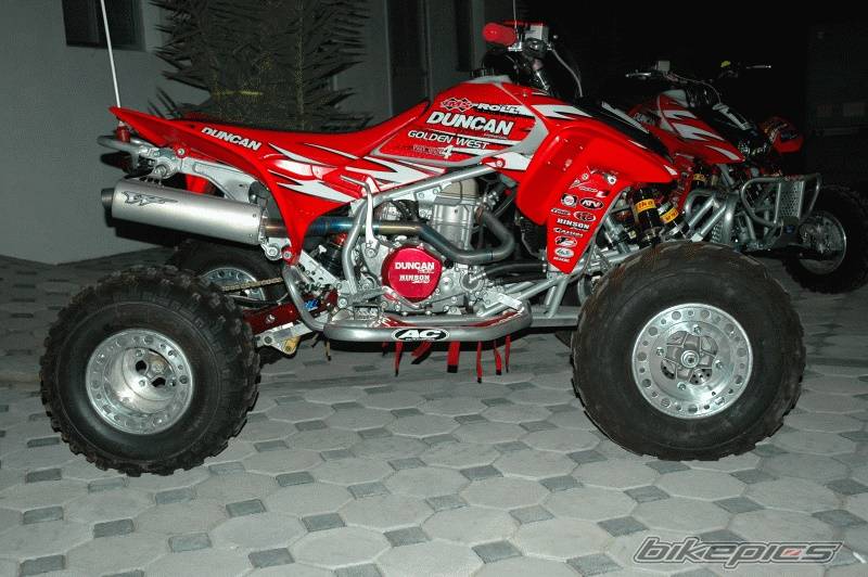 Photo 261795