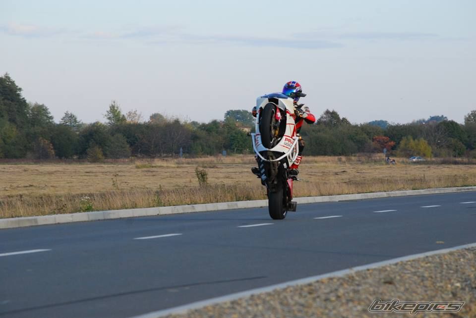 Photo 2617964