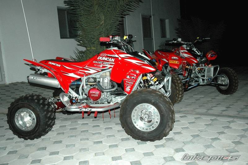 Photo 261797
