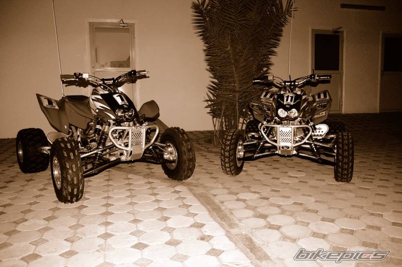 Photo 261799