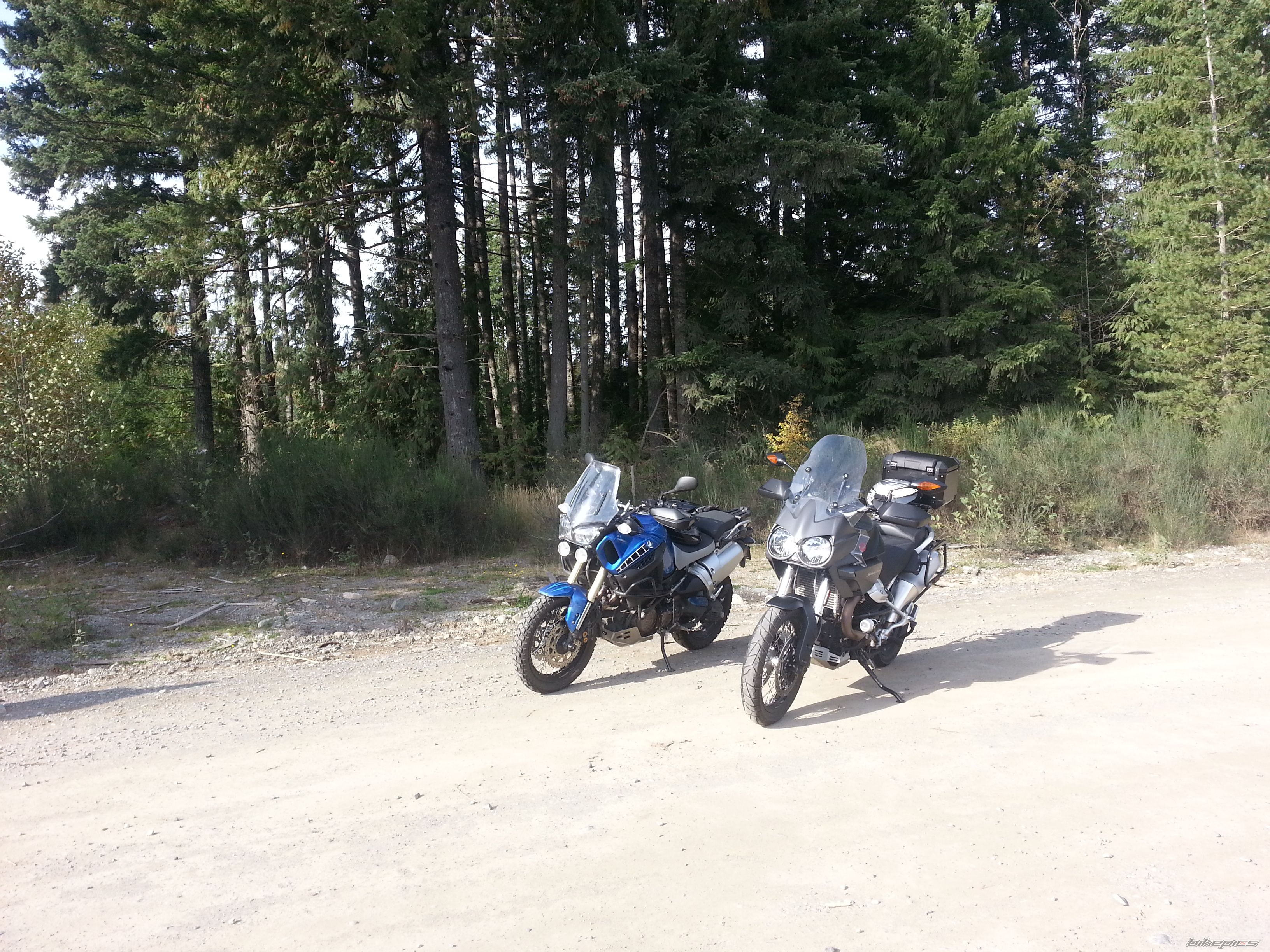Photo 2618003