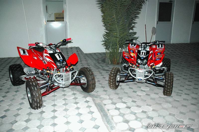 Photo 261801