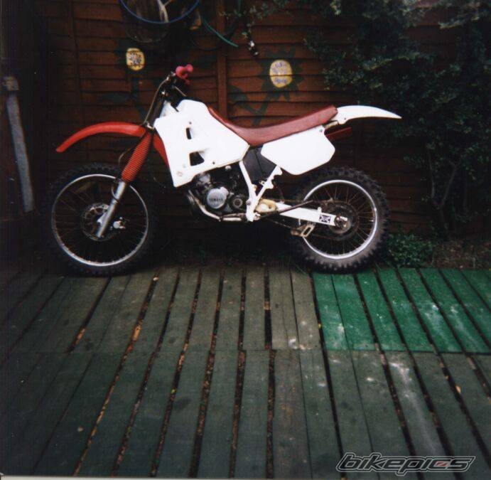 Photo 26181