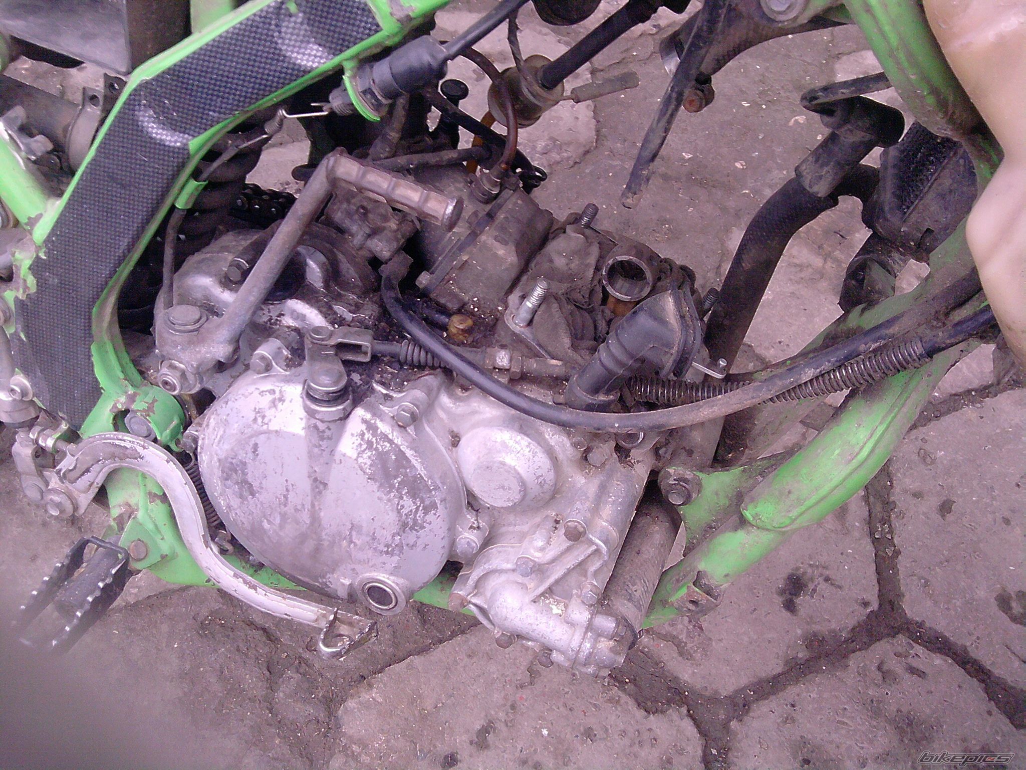Photo 2618224