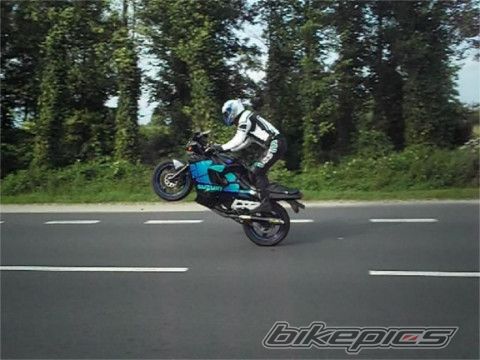 Photo 2618253