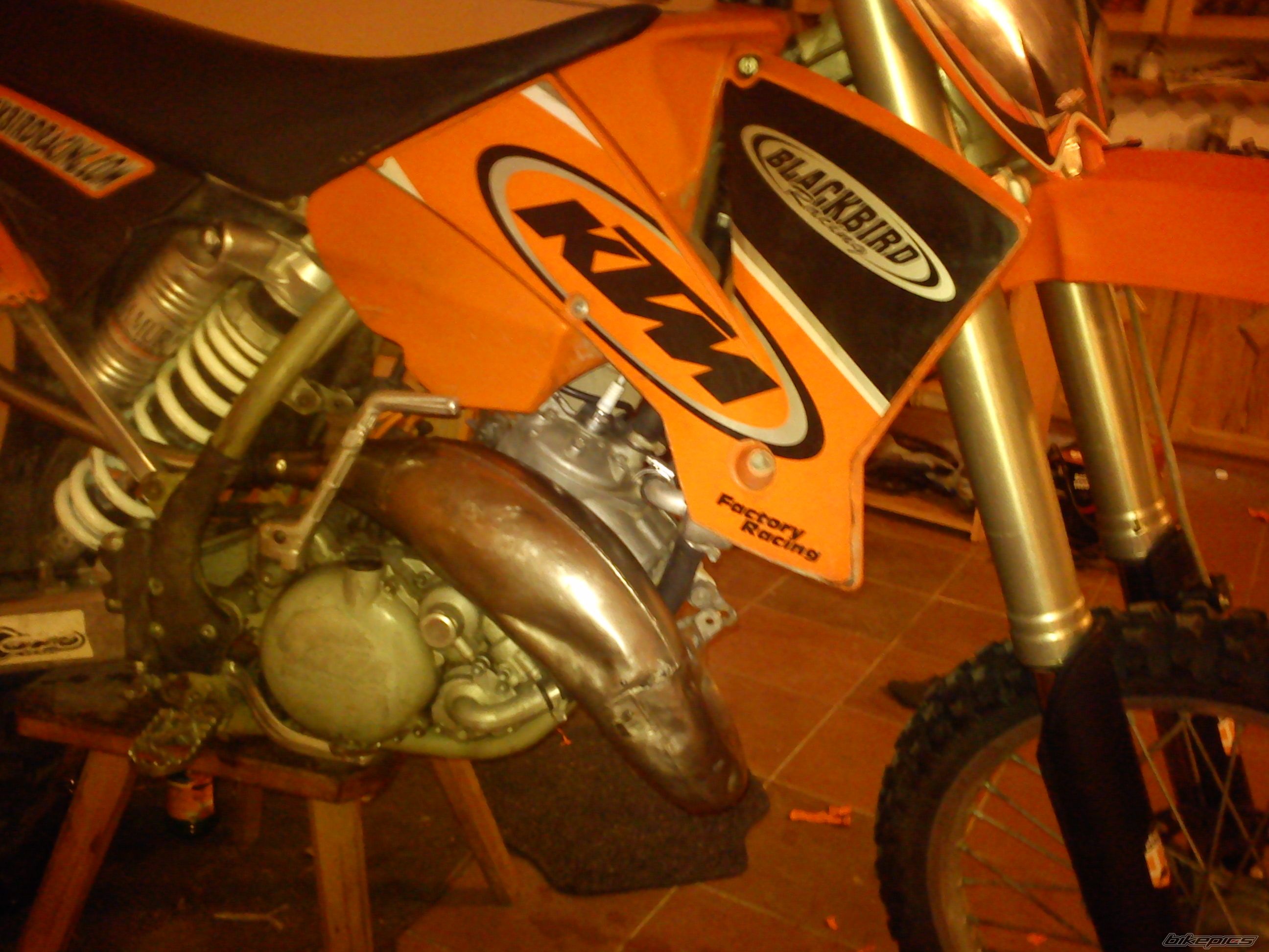 Photo 2618278
