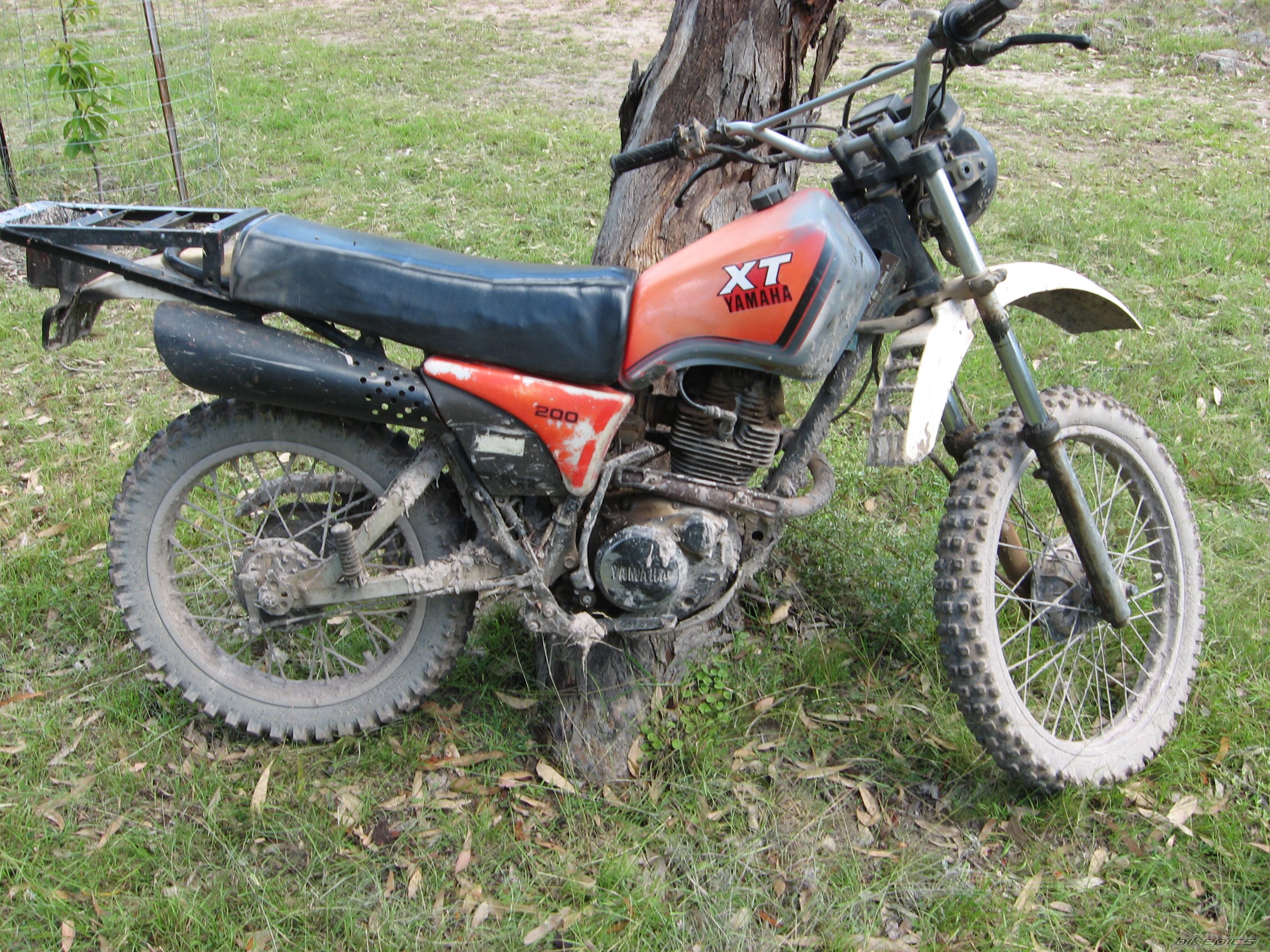 Photo 2618309