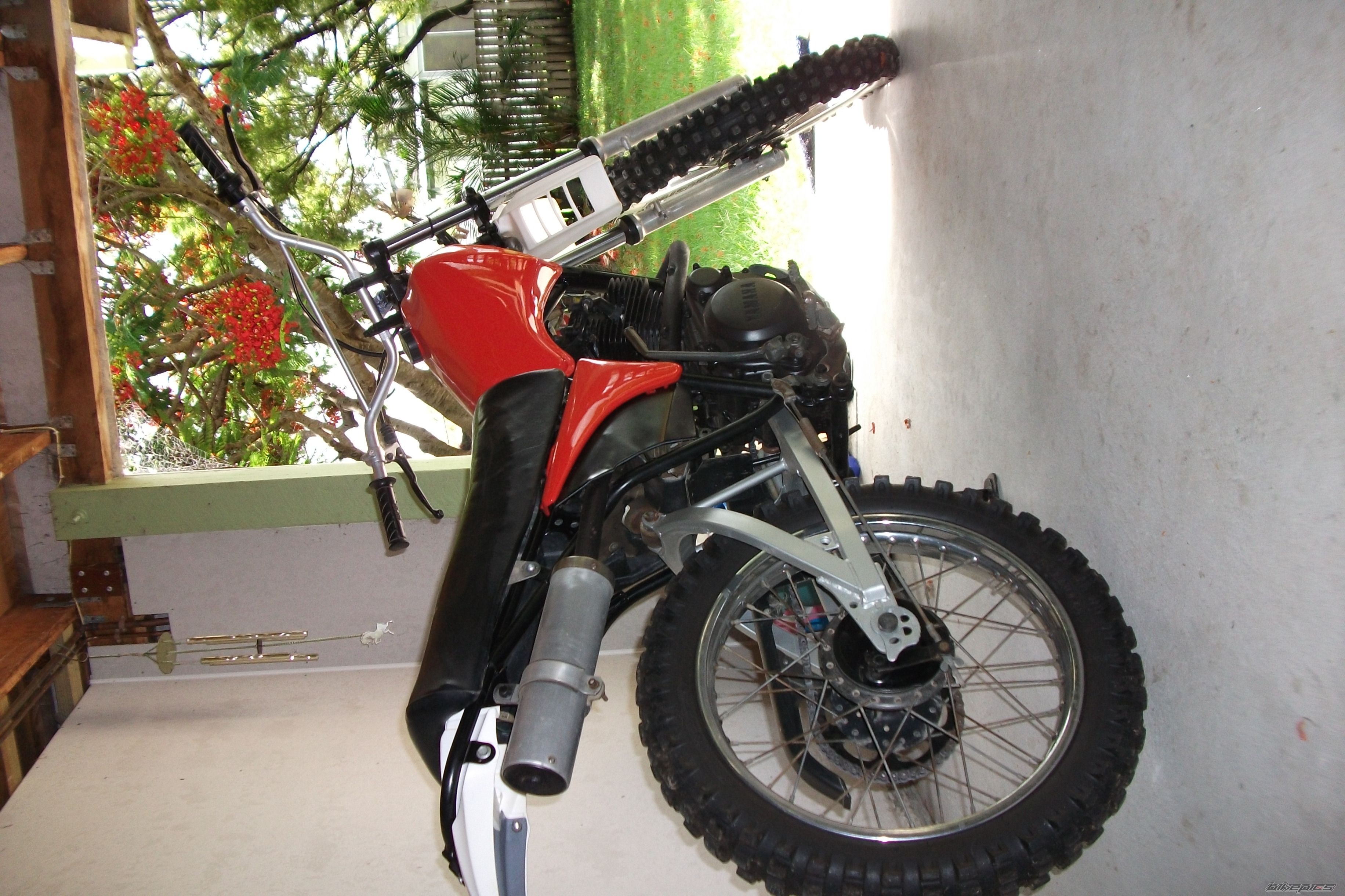 Photo 2618312