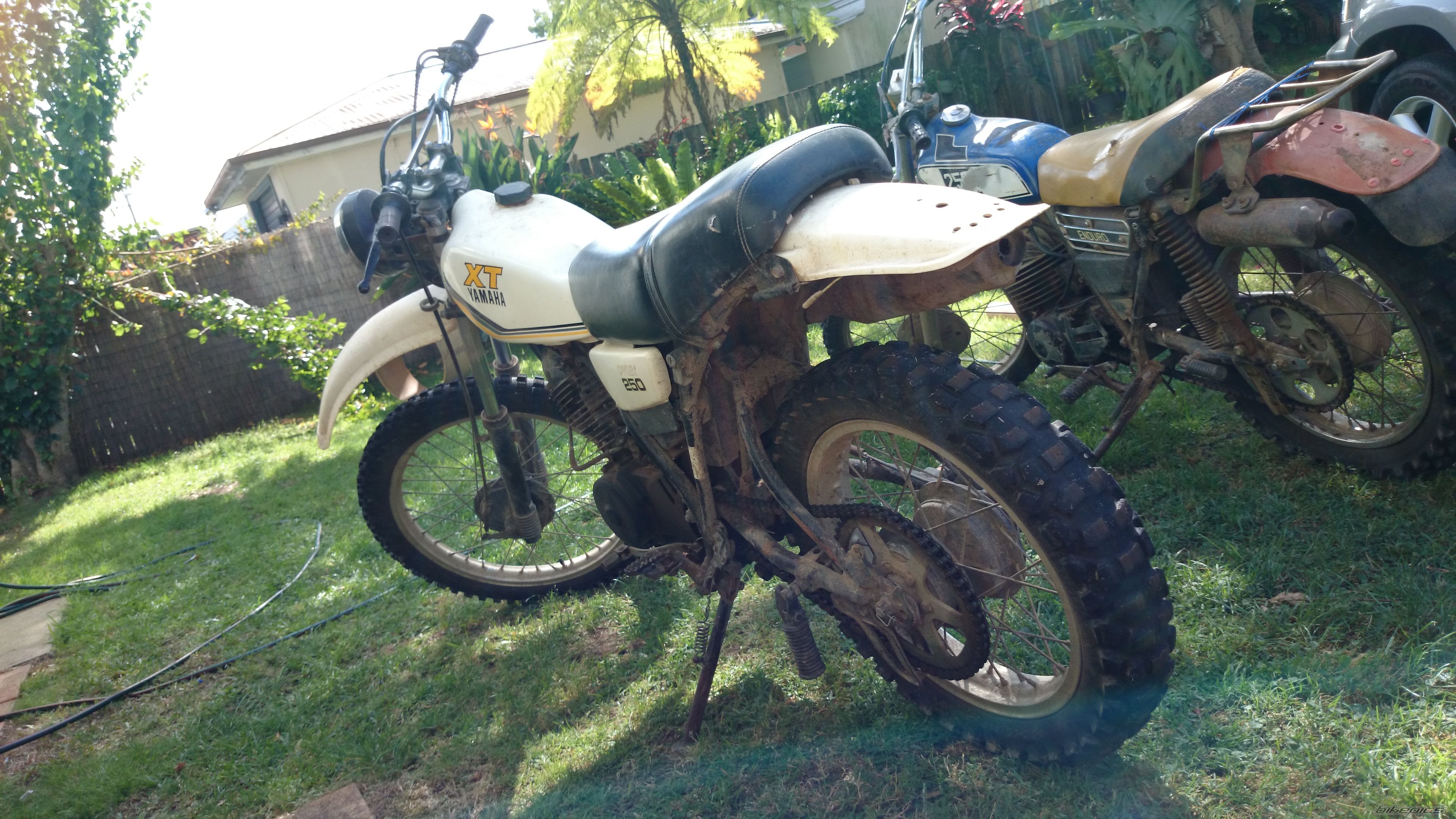 Photo 2618323