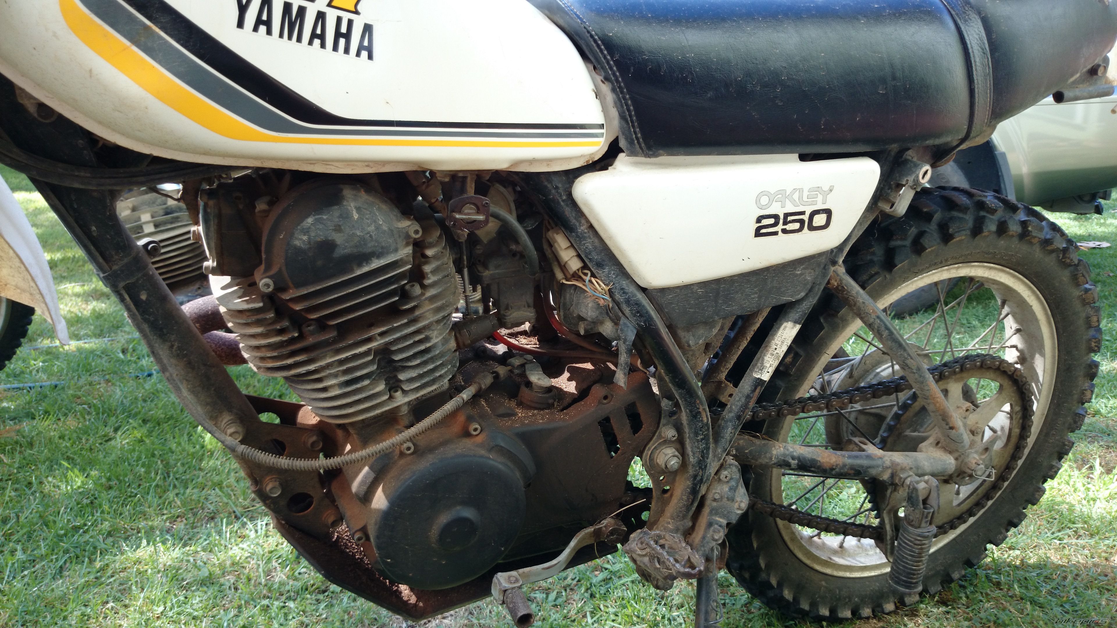 Photo 2618324
