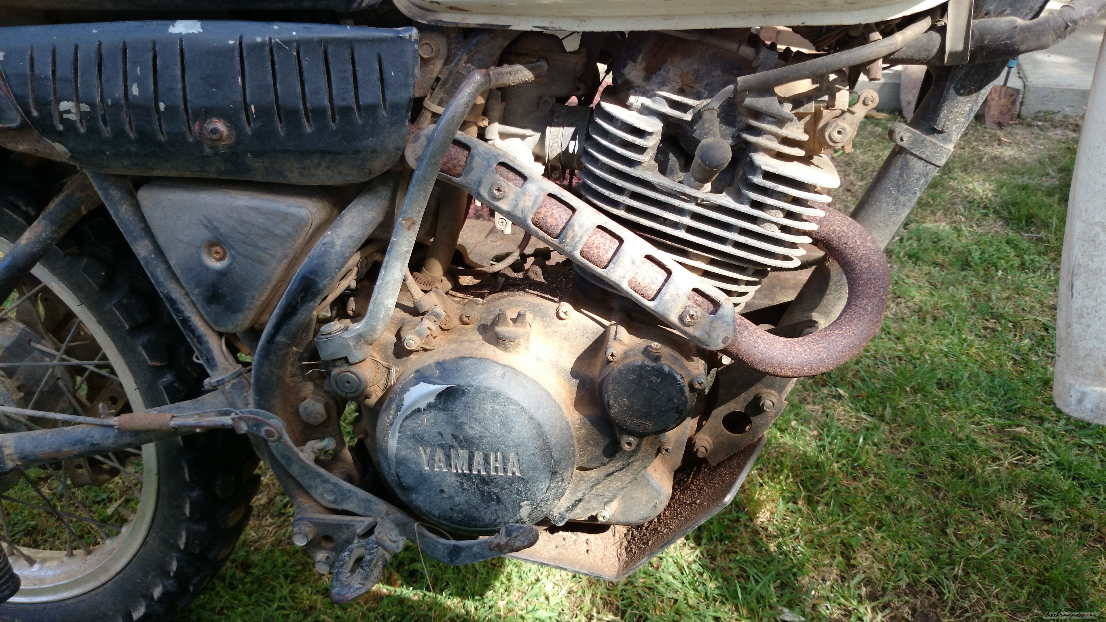 Photo 2618325