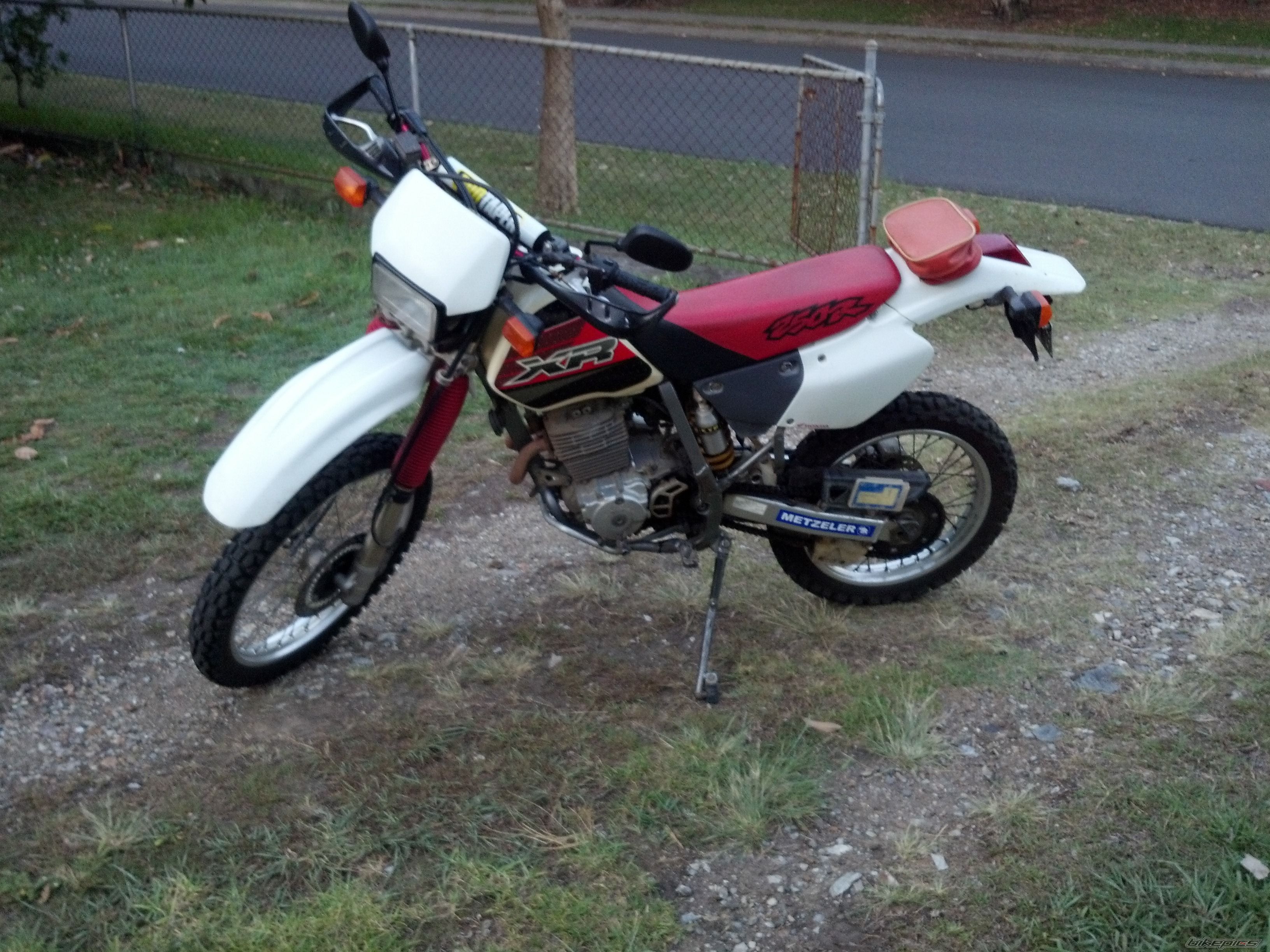 Photo 2618332
