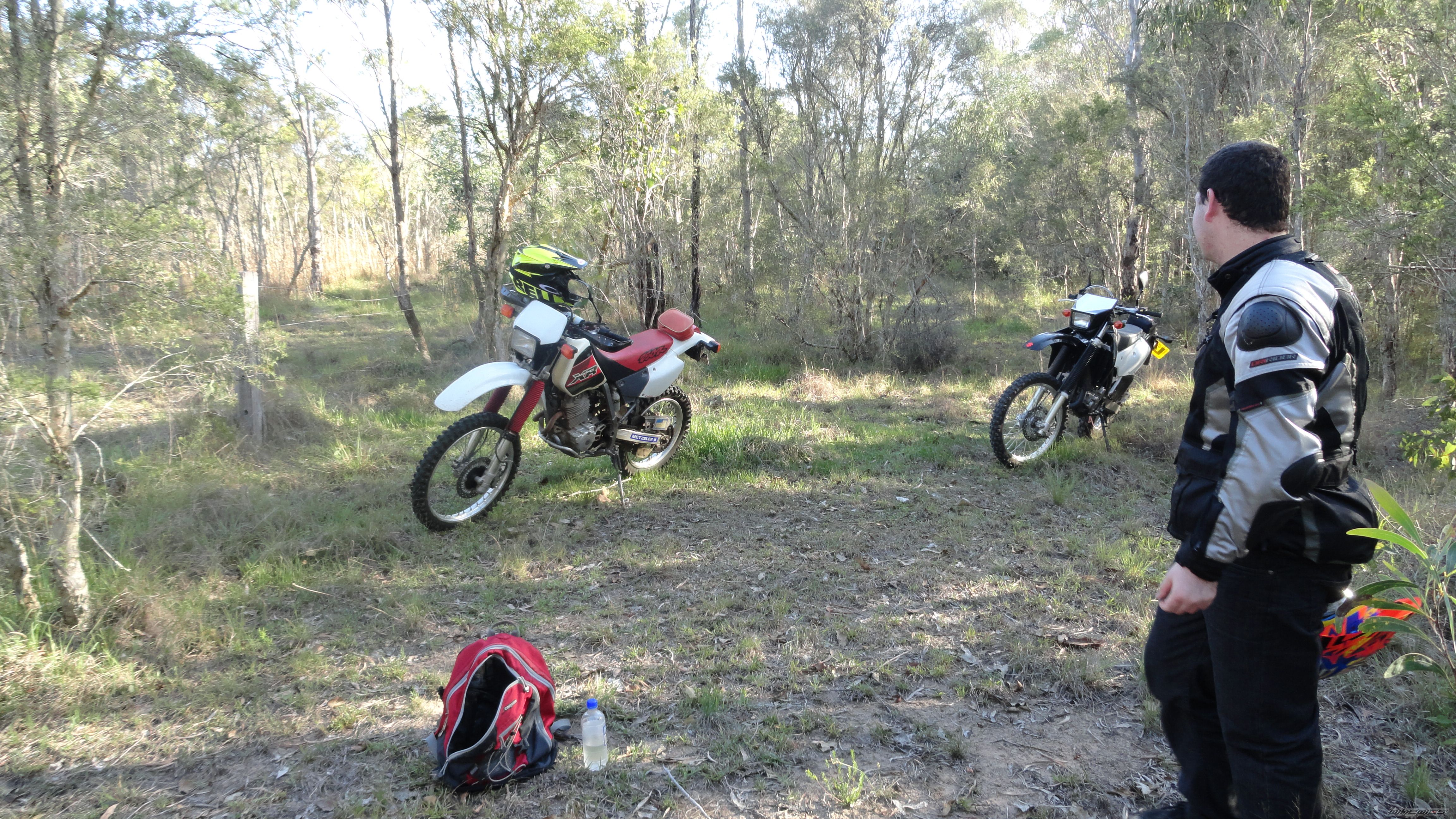 Photo 2618340