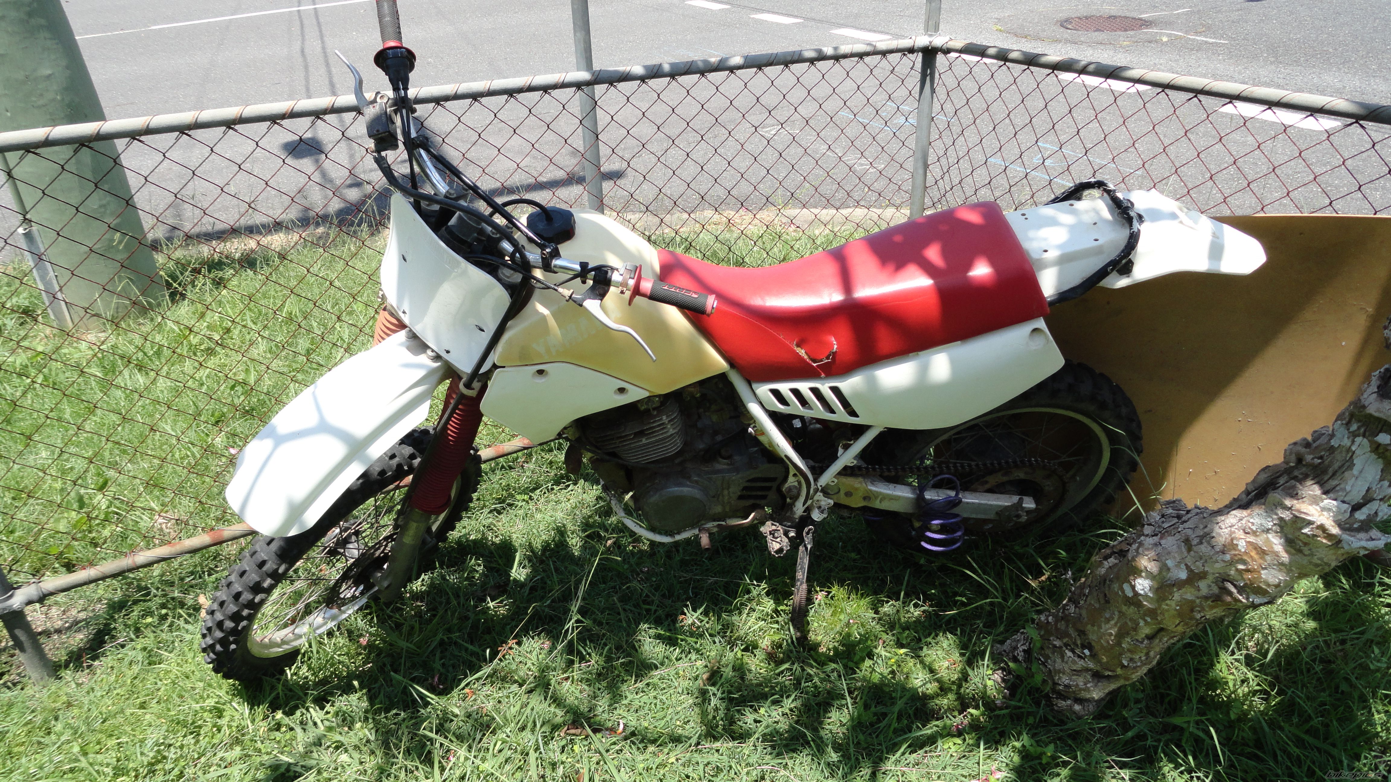 Photo 2618345