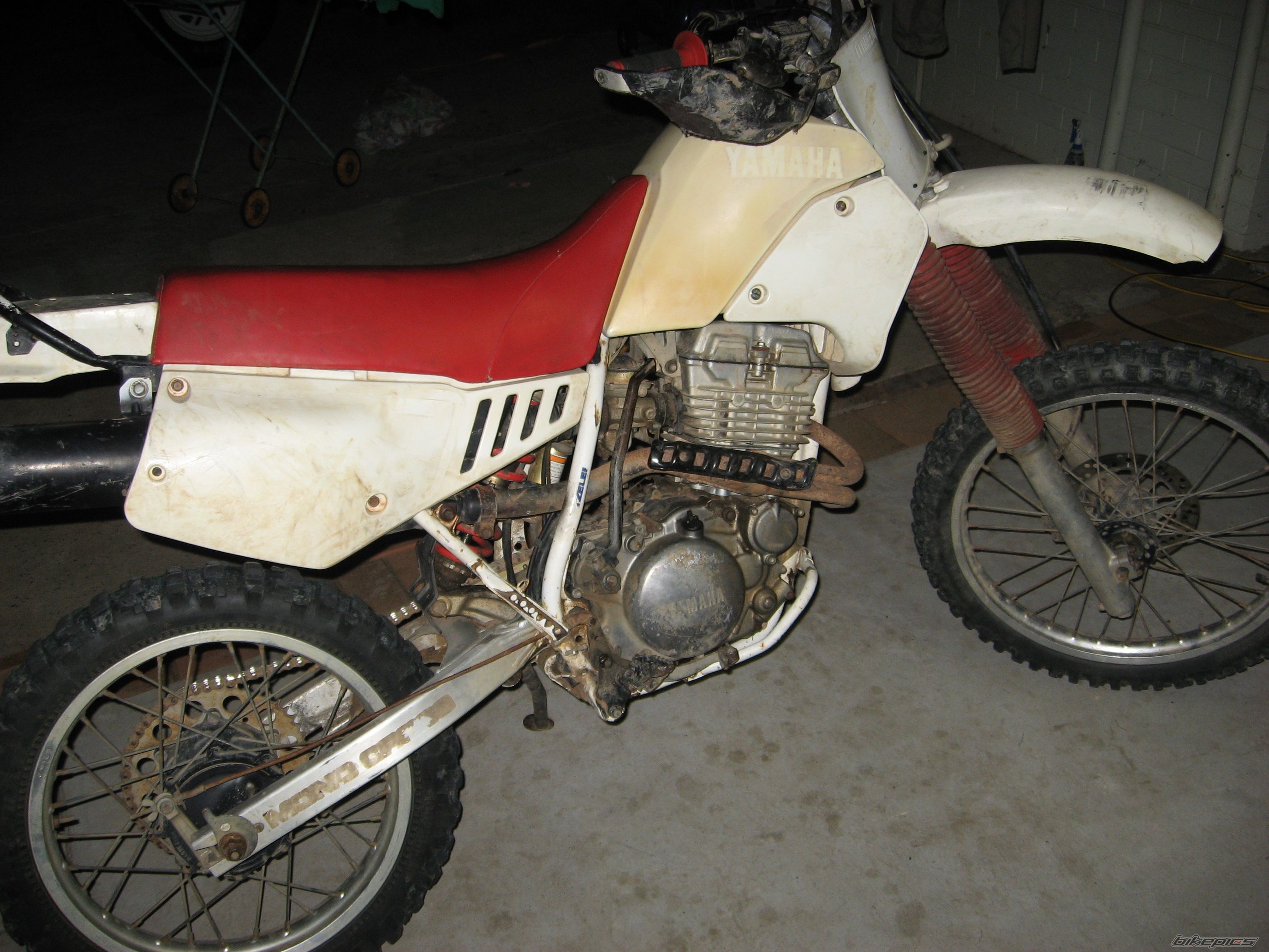 Photo 2618346