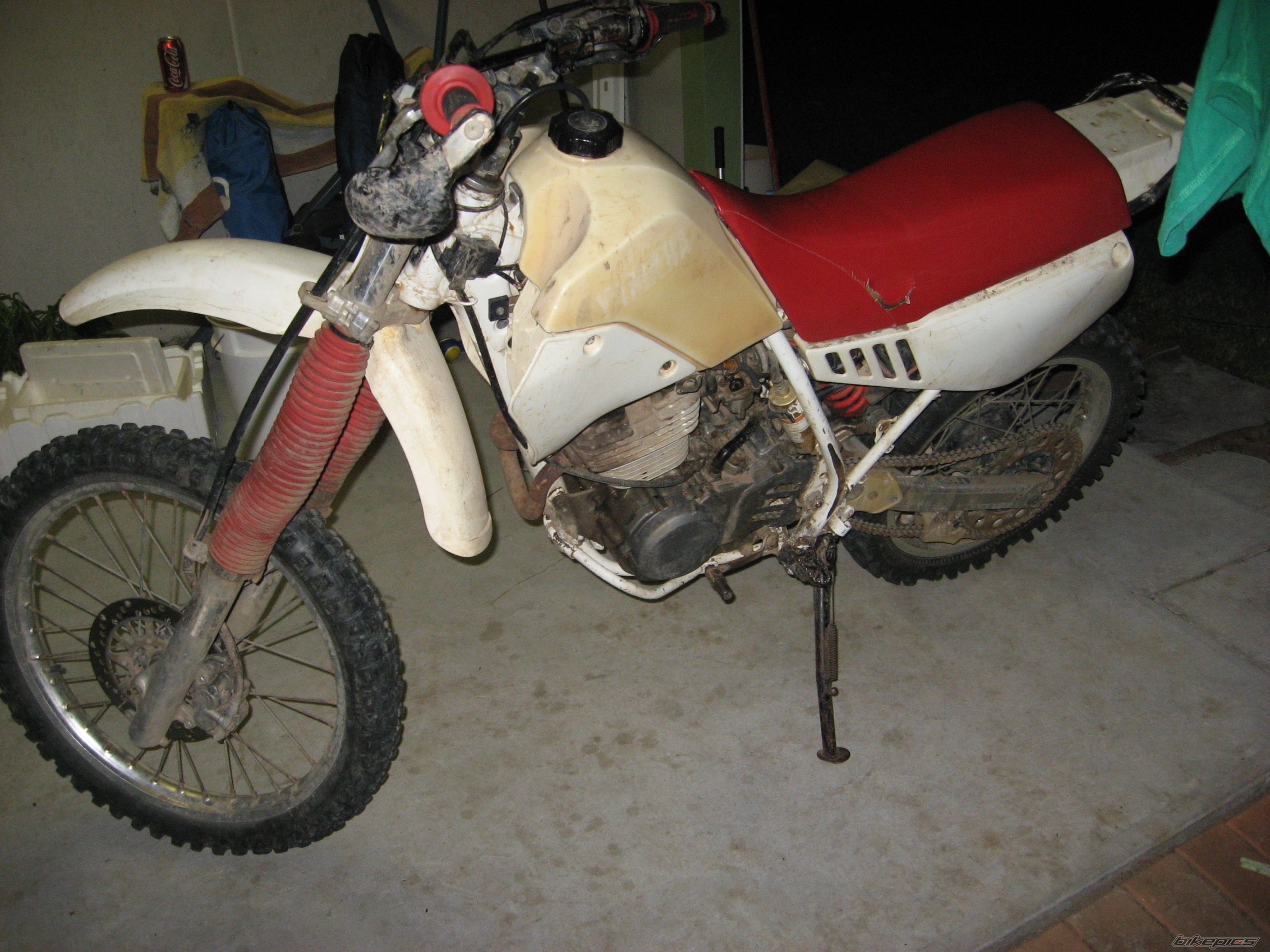 Photo 2618347