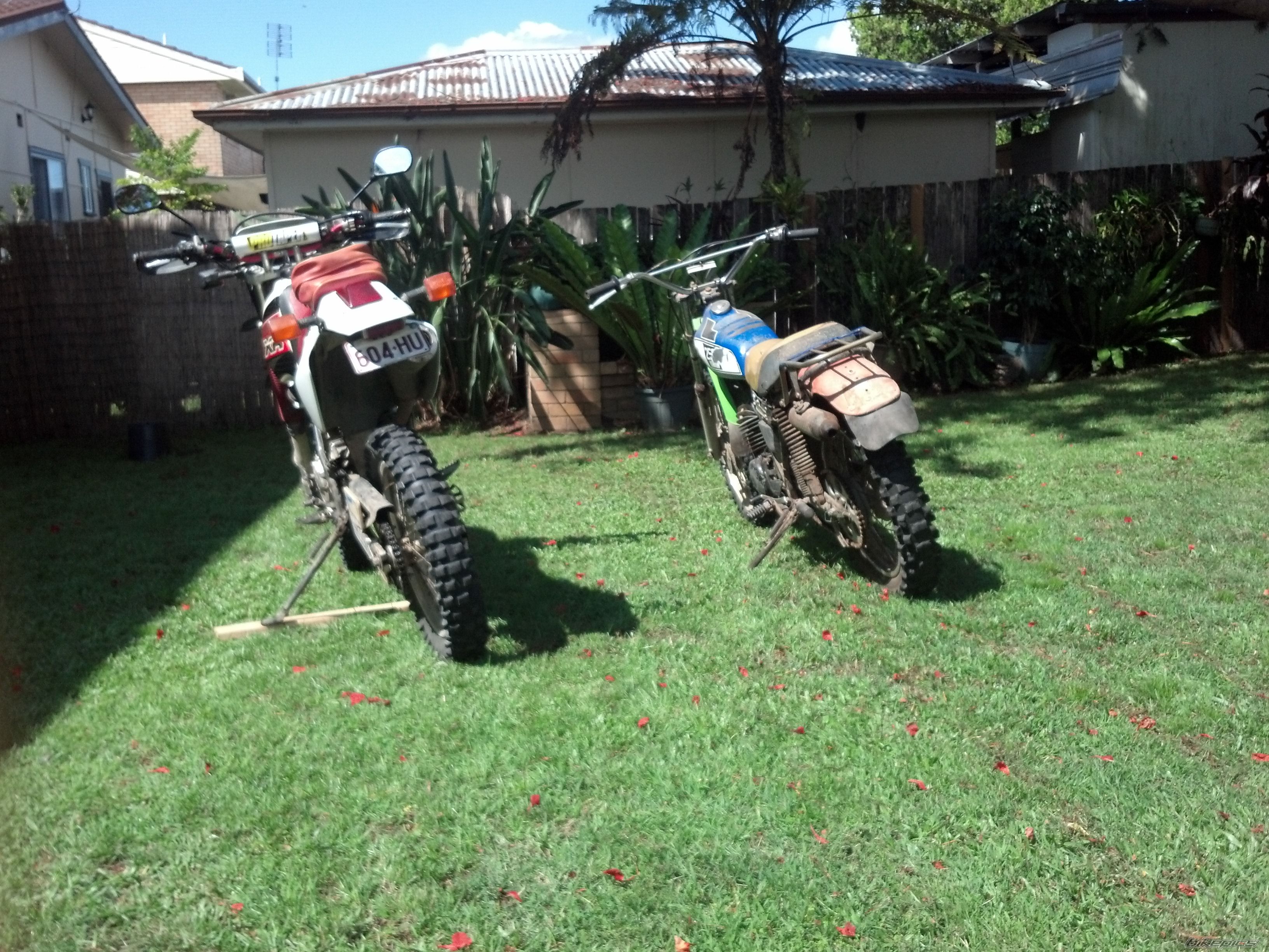 Photo 2618348