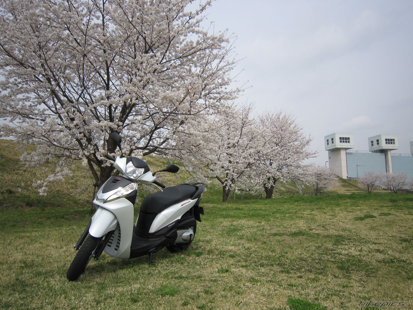 Photo 2618351