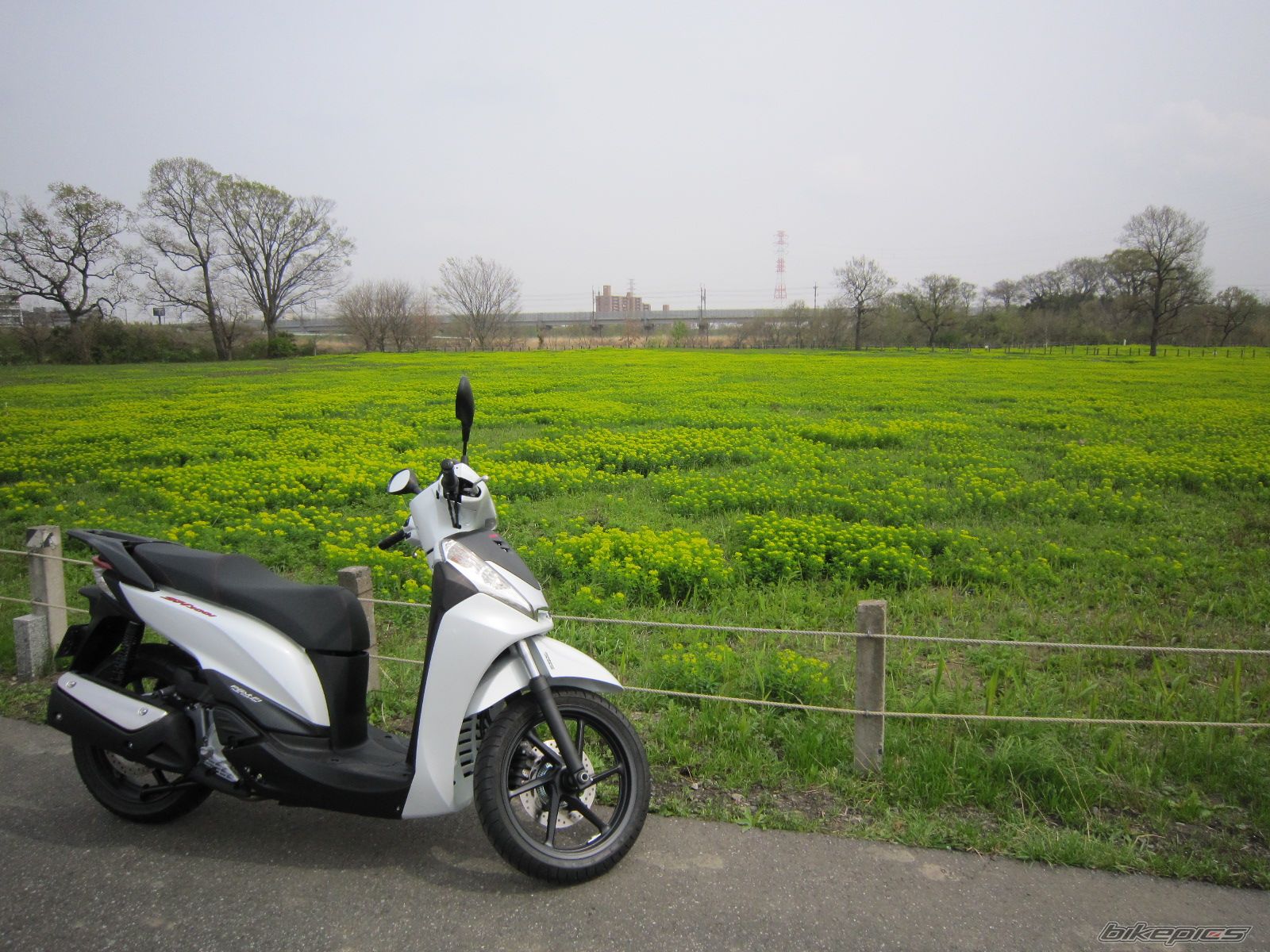Photo 2618352
