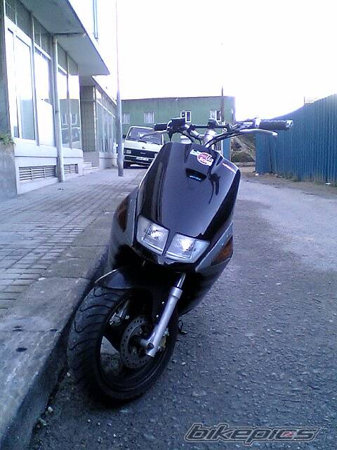Photo 261850