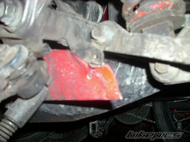 Photo 2618519