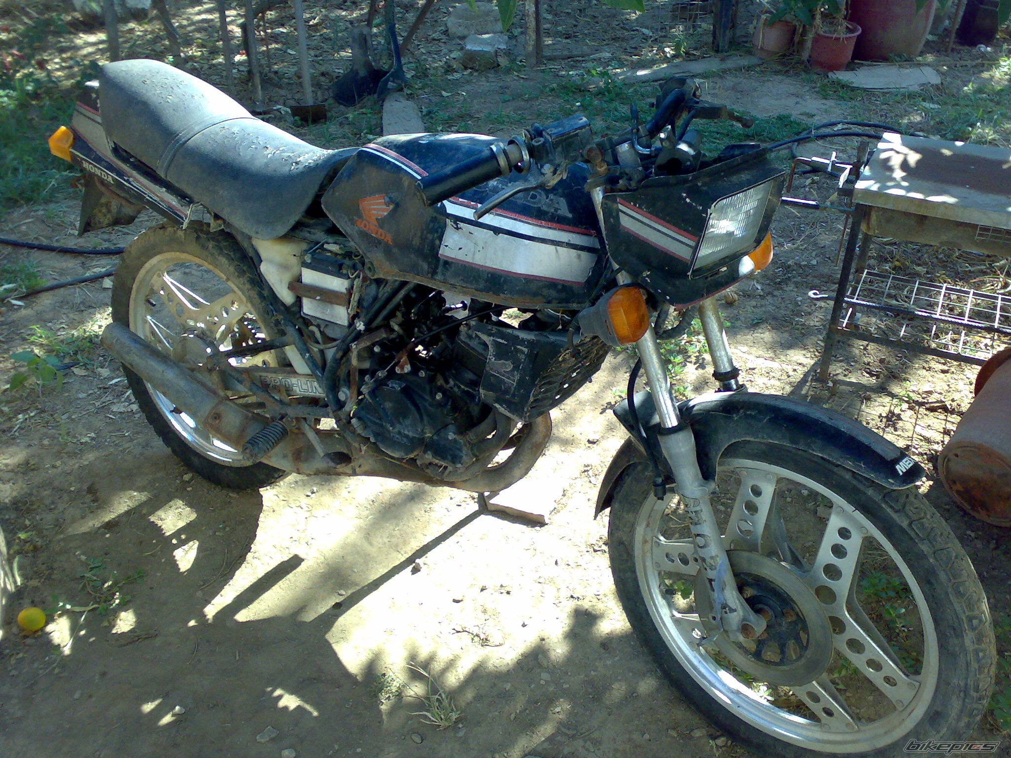 Photo 2618575