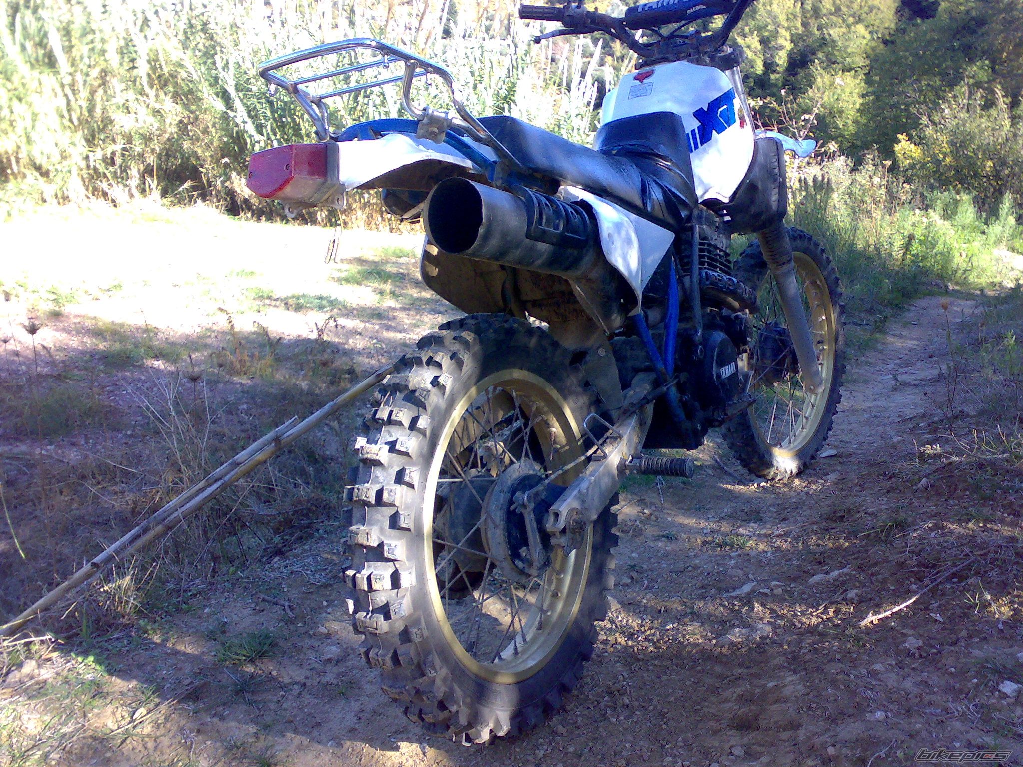 Photo 2618585
